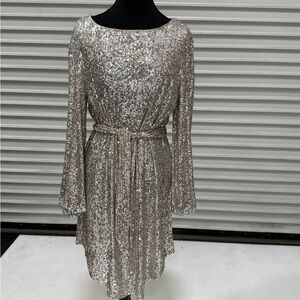 Elegant Silver Sequin Dress
